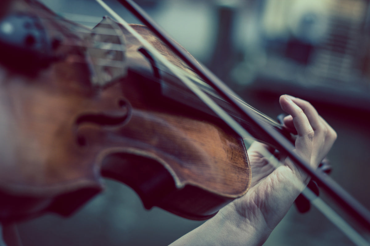 framedposter-print-violin