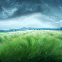 9-piece-aluminium-print-barley-field