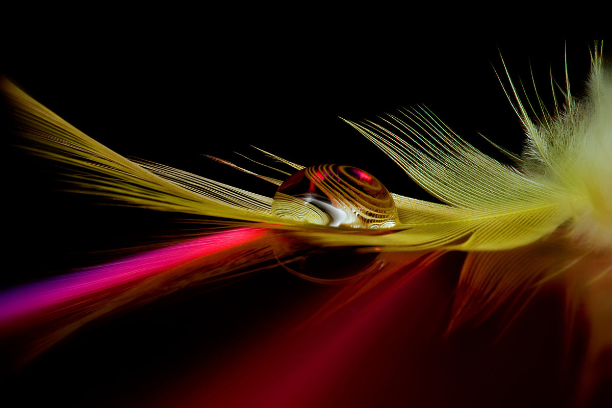 framedposter-print-colors-in-the-drop-x