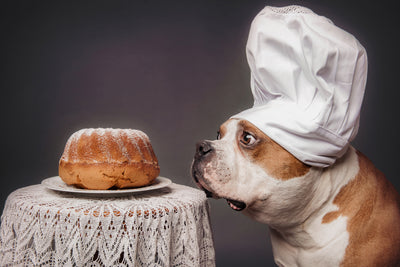 poster-print-the-confectioner-and-his-masterpiece-x