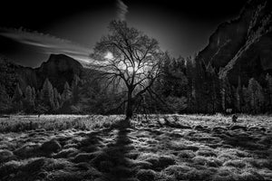 aluminium-print-the-winter-spirit