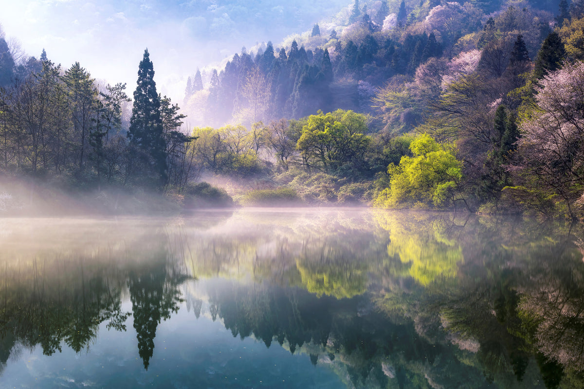 3-piece-aluminium-print-morning-calm