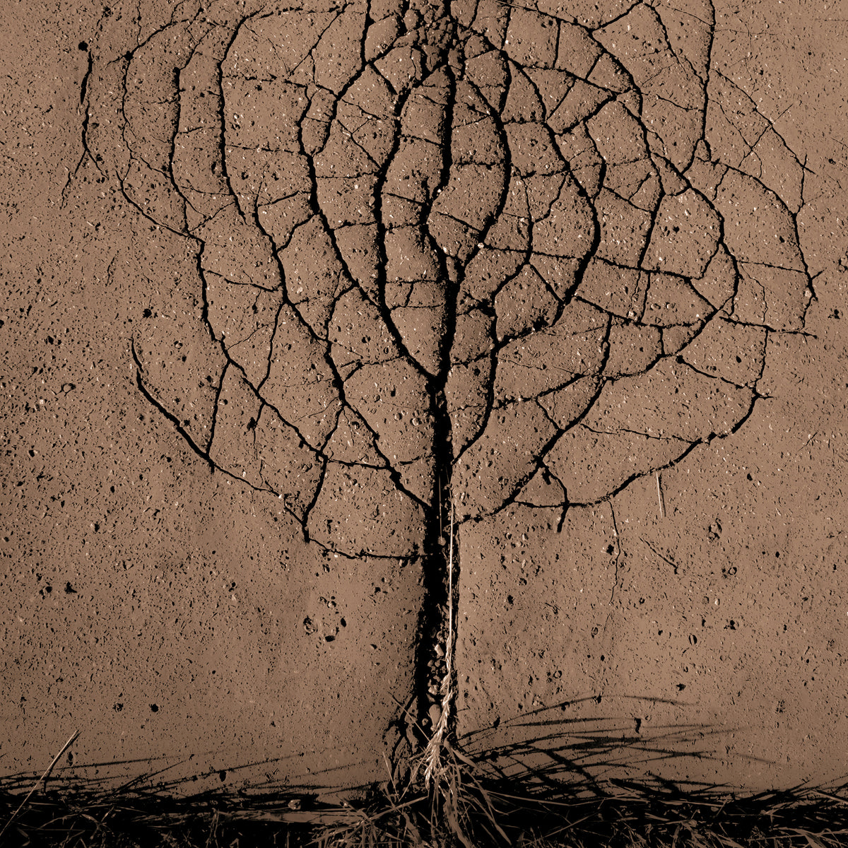 9-piece-aluminium-print-asphalt-tree