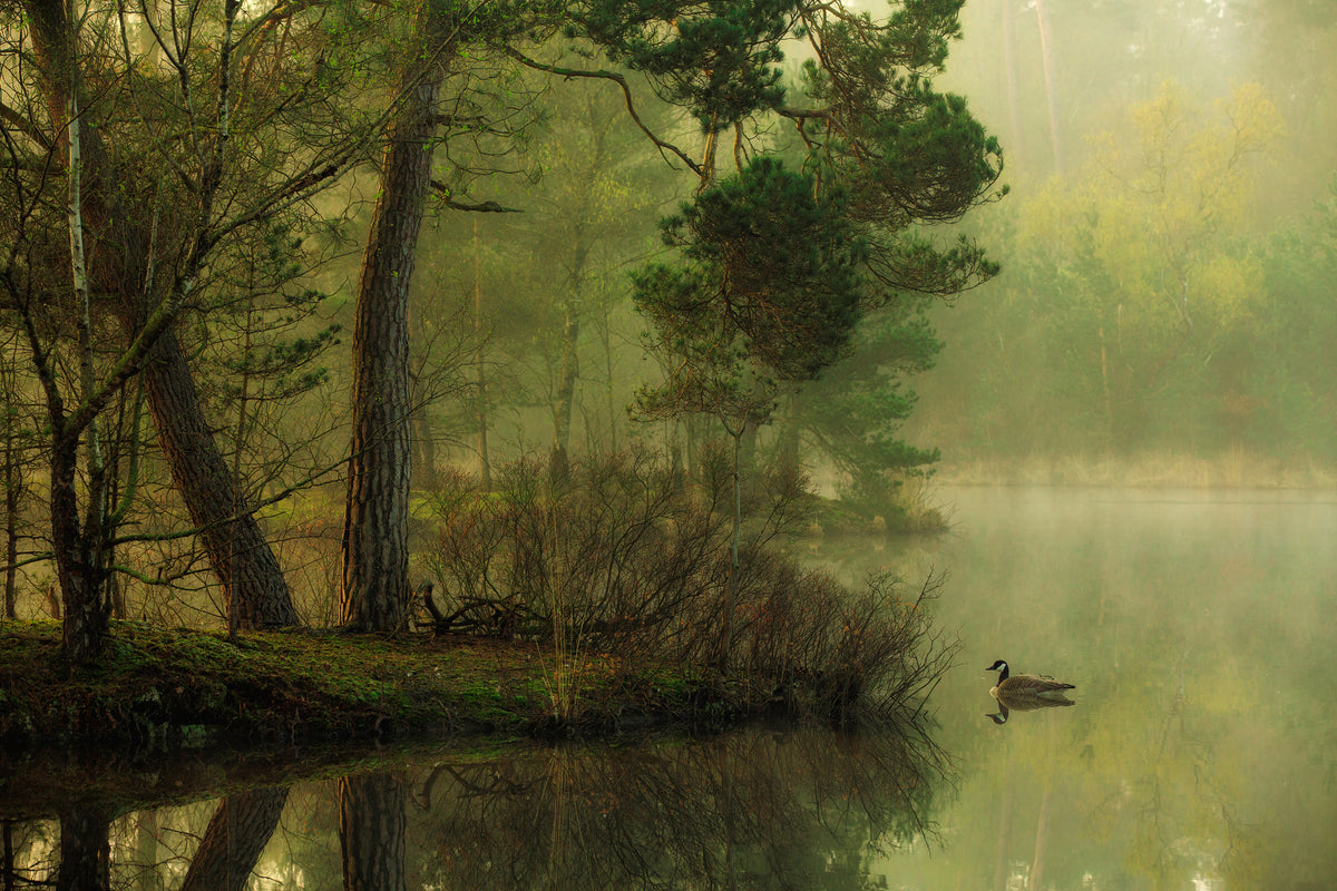 framedposter-print-mood-of-spring-x