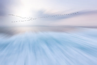 poster-print-fly-over-x