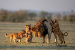 canvas-print-dad-and-kids-x