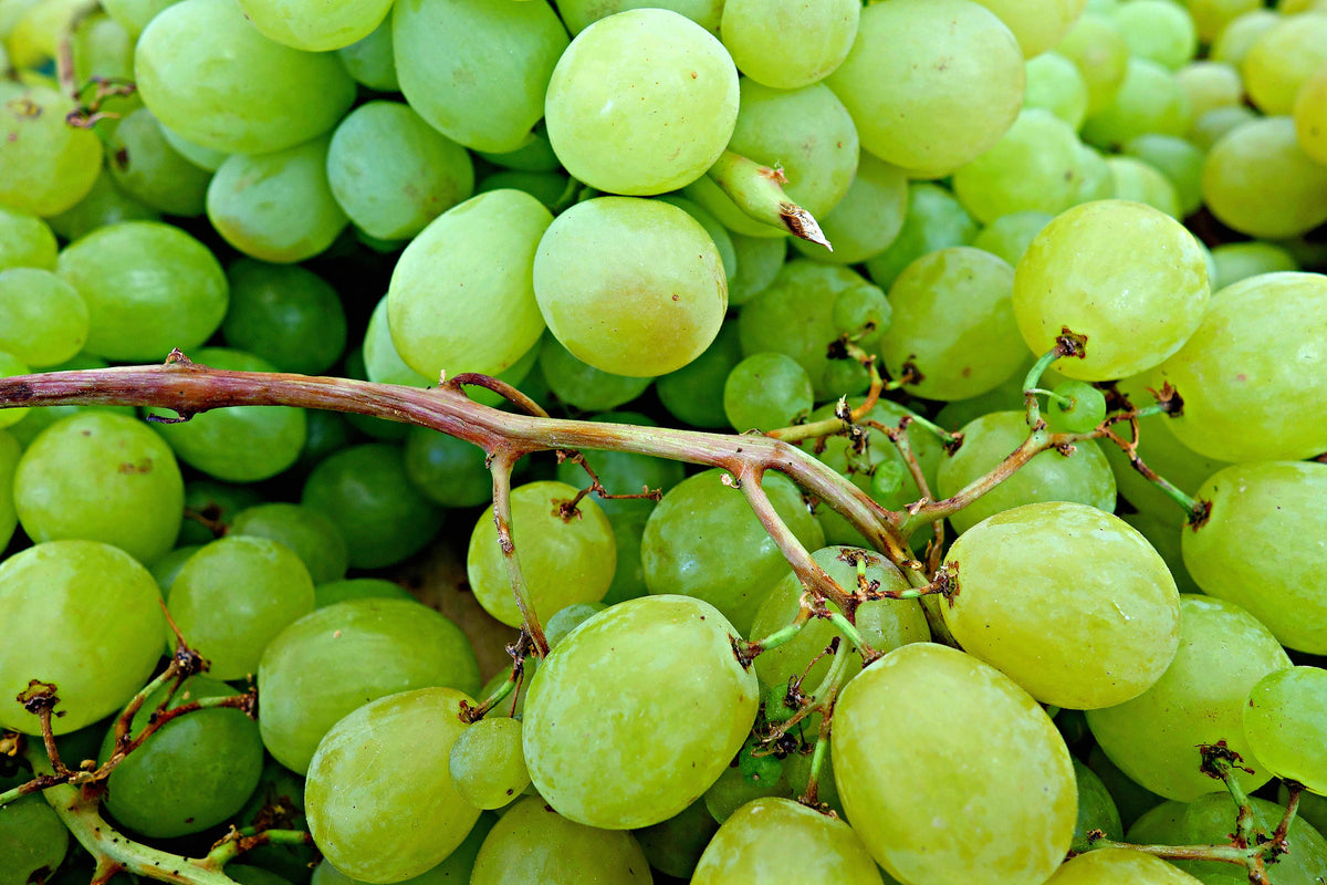 framedcanvas-print-green-grapes