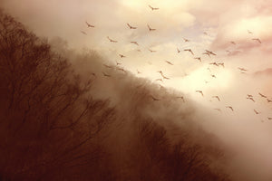 aluminium-print-departure
