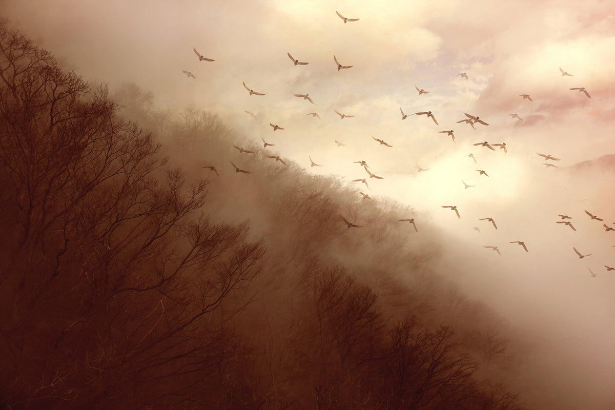aluminium-print-departure