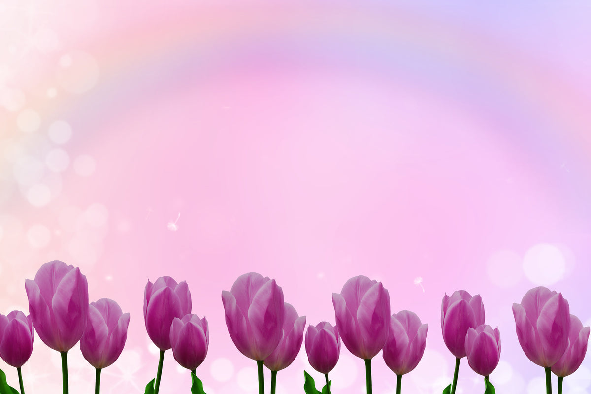 3-piece-canvas-print-sweet-tulips