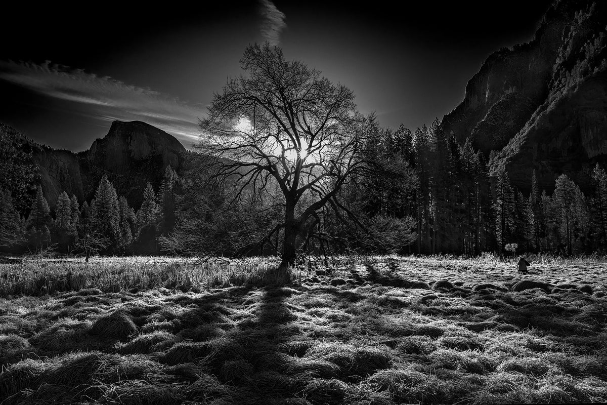 poster-print-the-winter-spirit