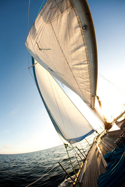 poster-print-sailing