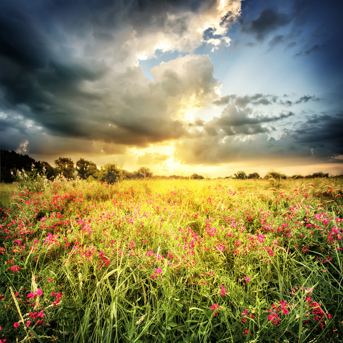 4-piece-aluminium-print-flowers-landscape