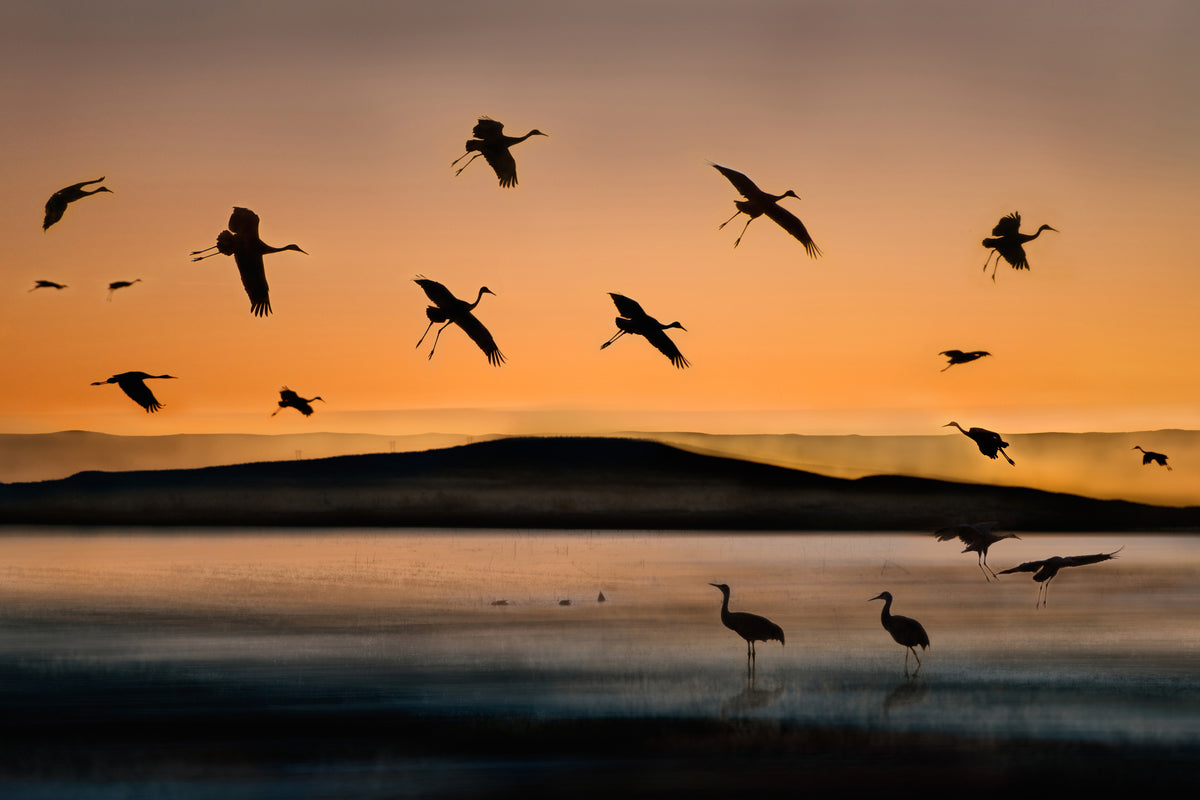 3-piece-acrylic-print-fly-in-at-sunset