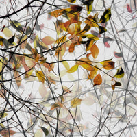 9-piece-aluminium-print-autumn-song