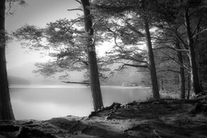 modern-3-piece-canvas-print-loch-an-eilein