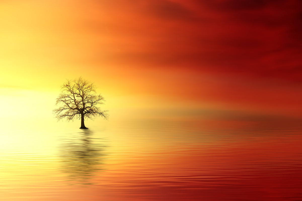 modern-3-piece-acrylic-print-the-tree-in-the-water