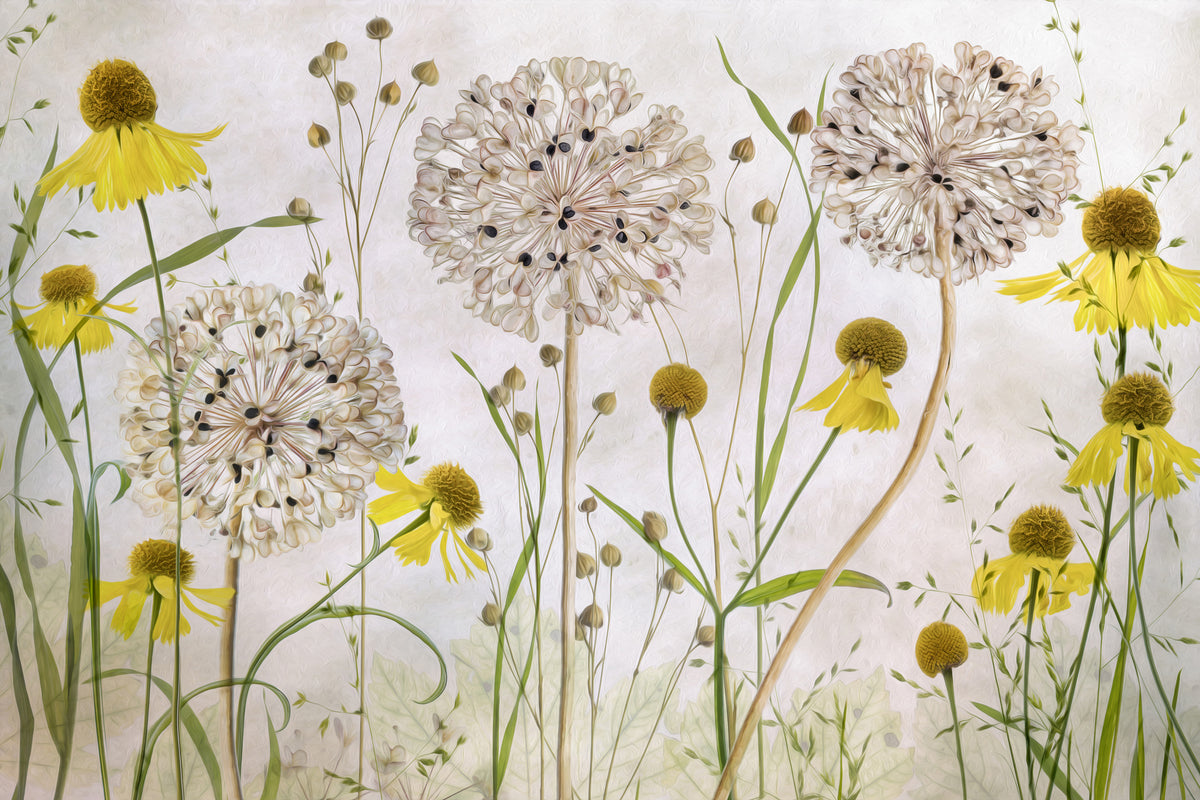 3-piece-acrylic-print-alliums-and-heleniums