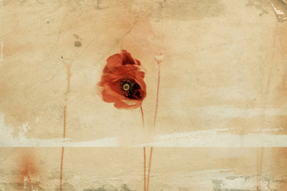 canvas-print-fragment