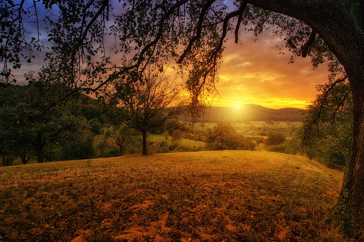 framedcanvas-print-a-landscape-in-the-sunset