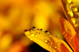 aluminium-print-drops-close-up
