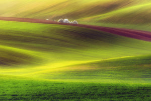 framedposter-print-golden-fields-x