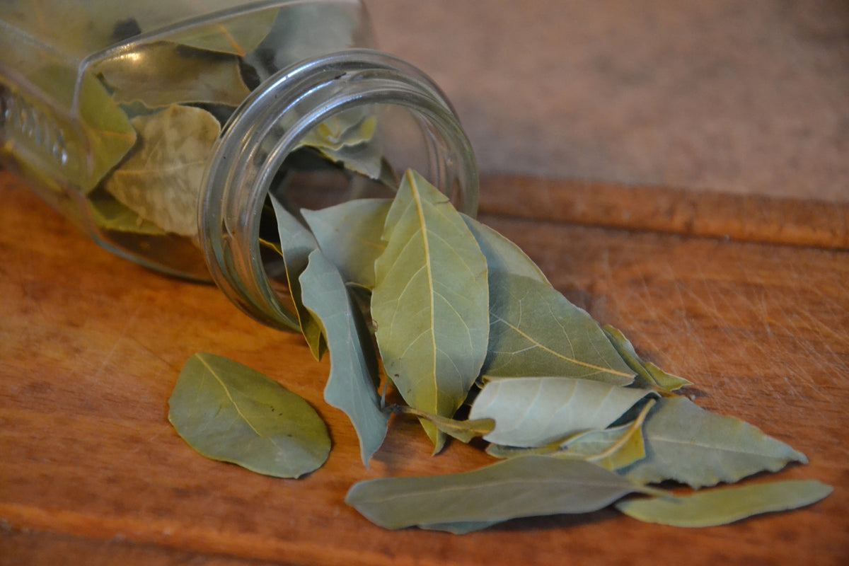 modern-3-piece-canvas-print-bay-leaves