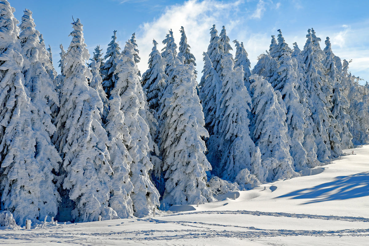 3-piece-aluminium-print-beautiful-winter-landscape