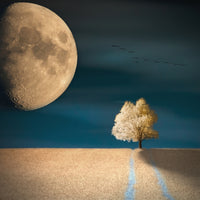 canvas-print-gmo
