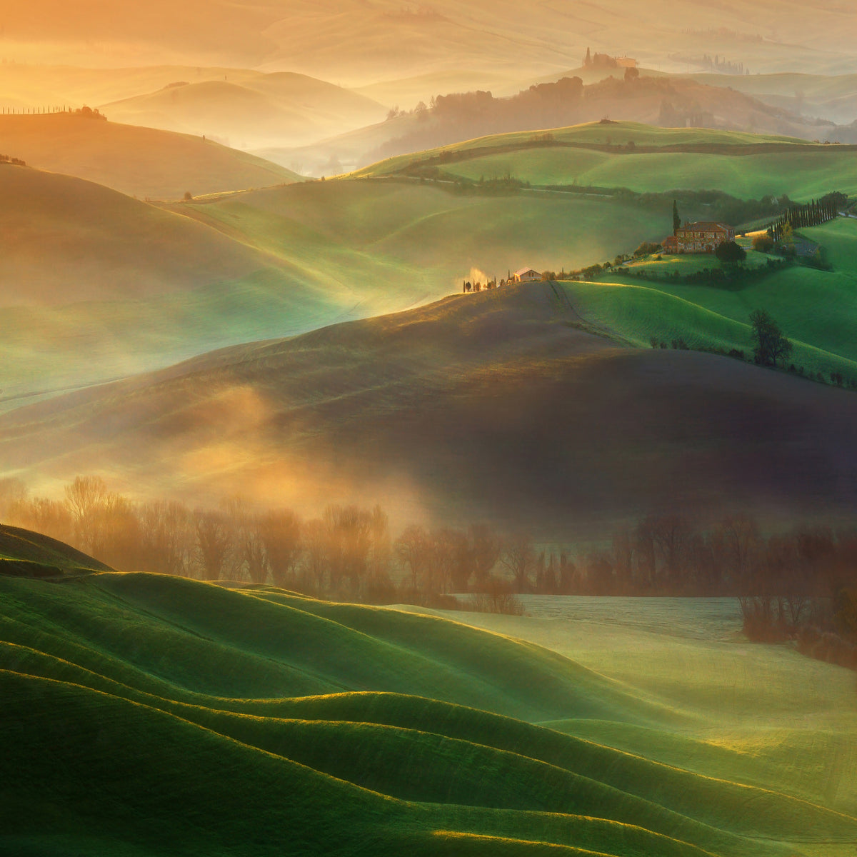 canvas-print-morning-dreams