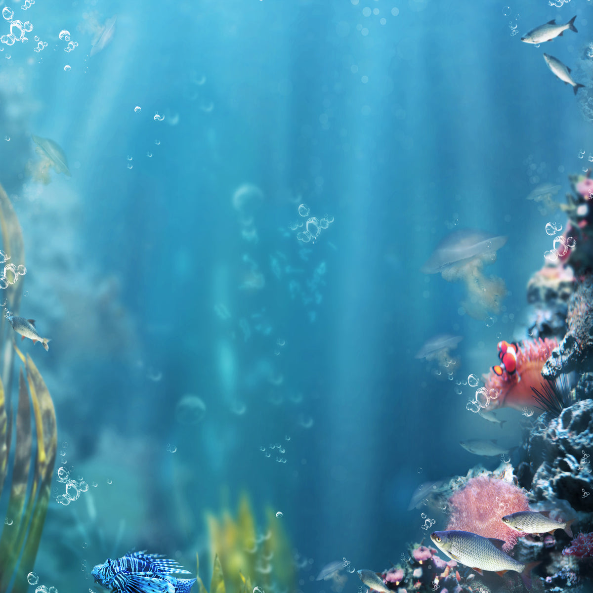 4-piece-canvas-print-underwater