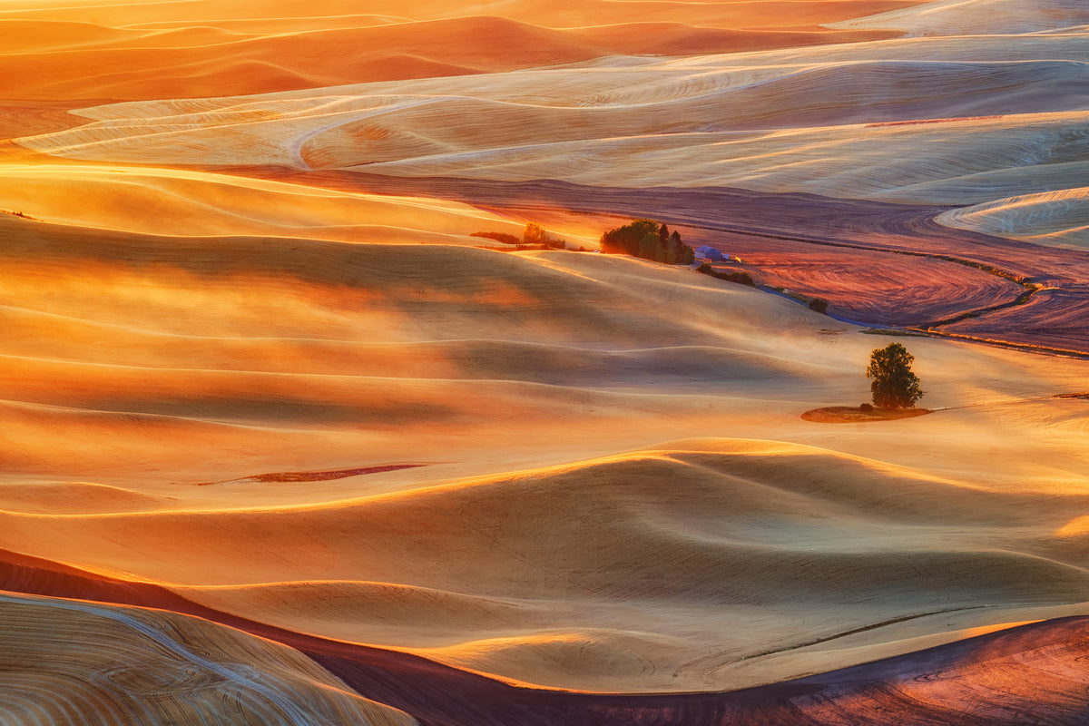framedcanvas-print-golden-palouse-x