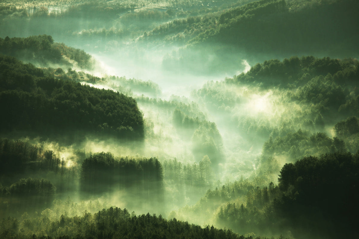 3-piece-acrylic-print-over-the-woods