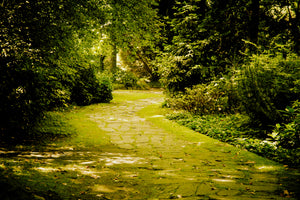 modern-3-piece-acrylic-print-moss-covered-path