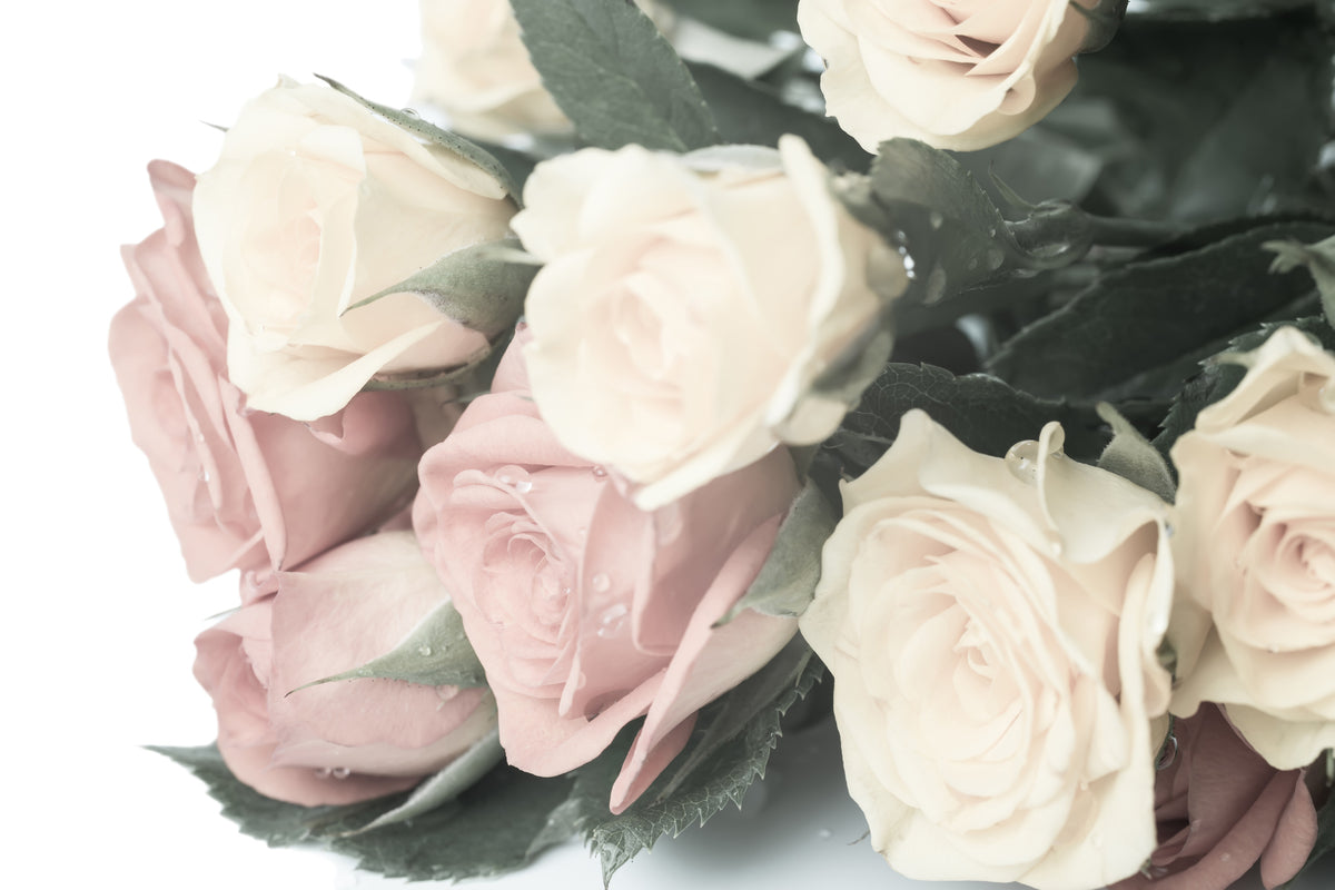 framedcanvas-print-romantic-rose
