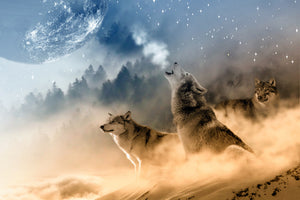 framedcanvas-print-the-world-of-wolves