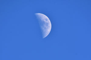 poster-print-the-crescent