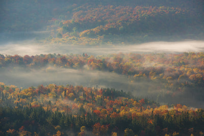 poster-print-misty-morning-ii-a