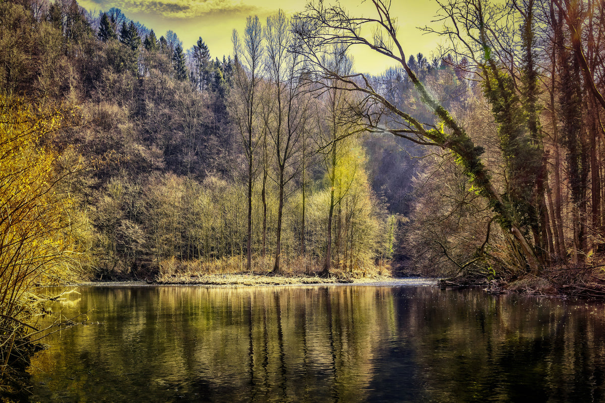 modern-3-piece-aluminium-print-lake-in-the-forest
