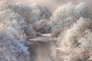 acrylic-print-winter-song-x