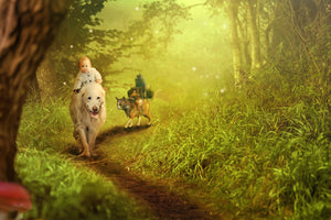 canvas-print-forest-excursion