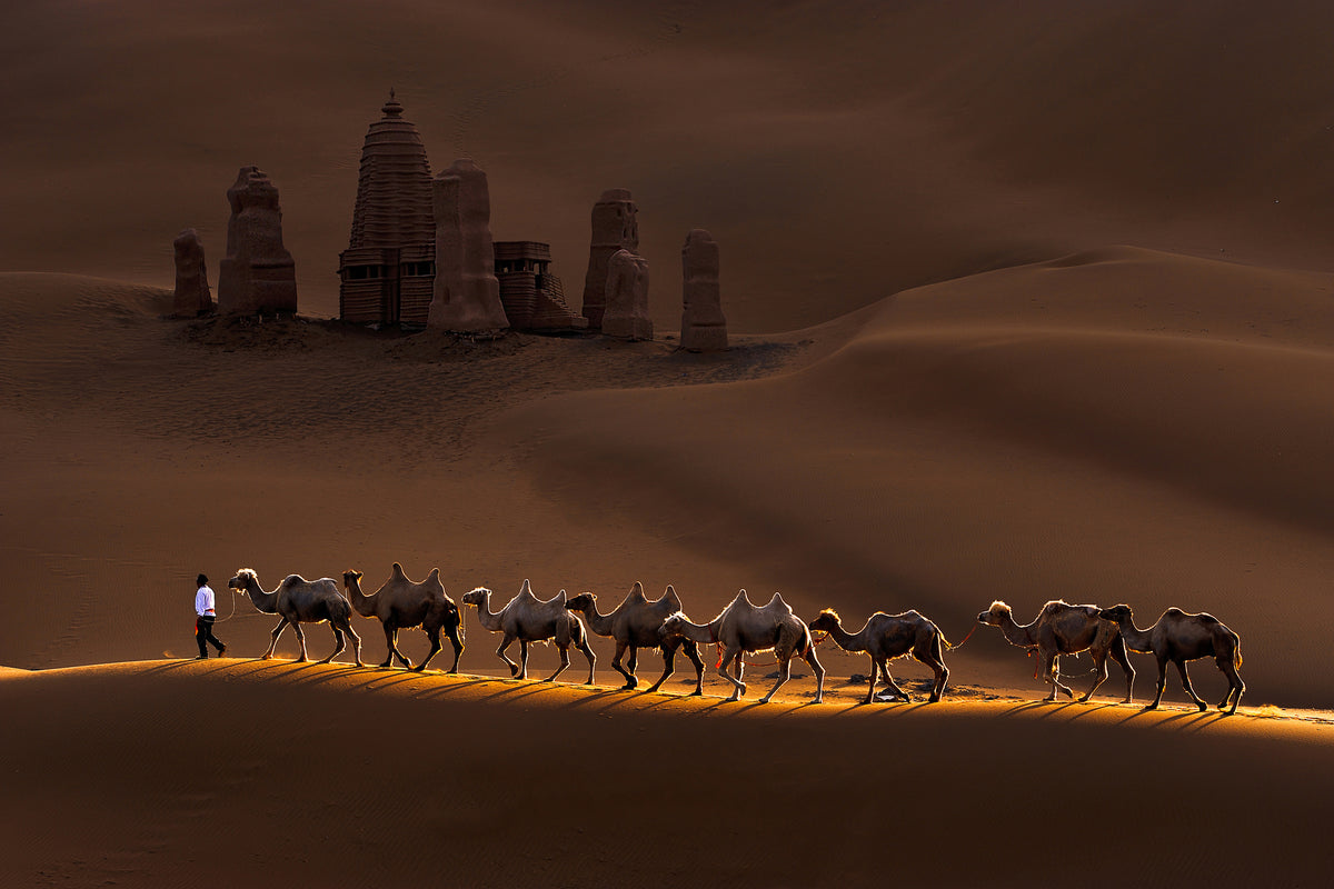 3-piece-canvas-print-castle-and-camels