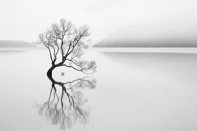 poster-print-serenity-xqn