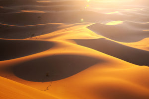 poster-print-wilderness-journey
