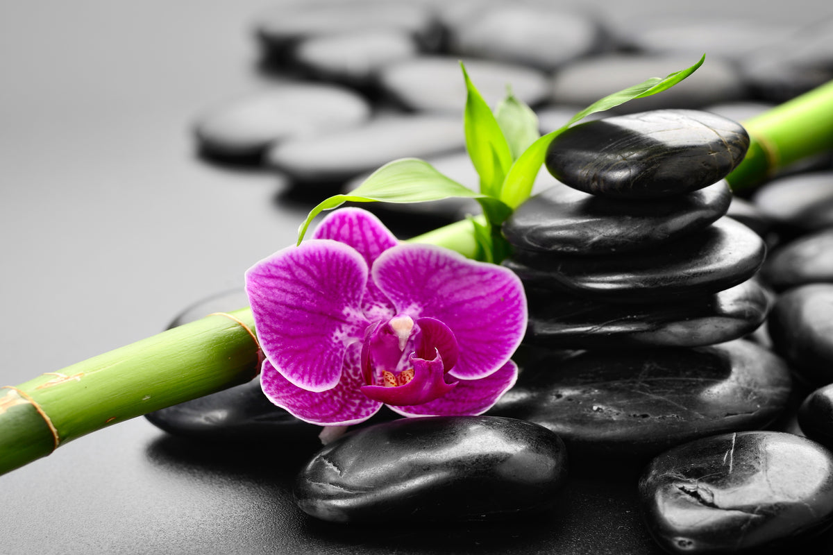 modern-3-piece-canvas-print-feng-shui-orchid