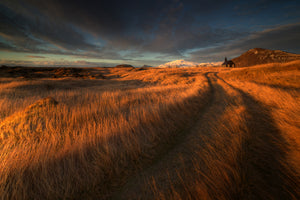 framedposter-print-the-long-winding-road-x