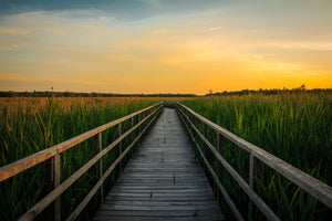 3-piece-aluminium-print-sunset-in-the-fields