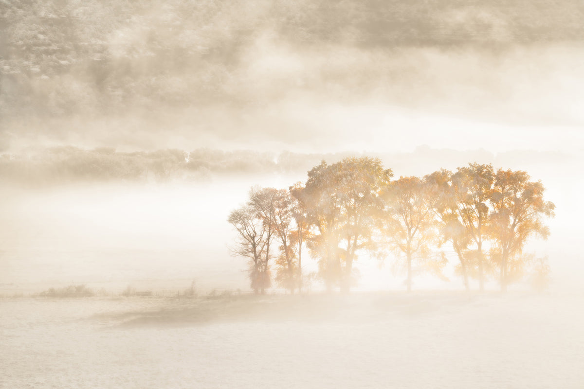 acrylic-print-autumn-dreams