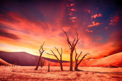poster-print-colorful-desert