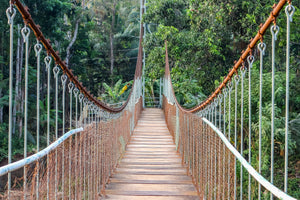 framedposter-print-bridge-for-the-brave
